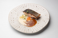 platos 19.jpg